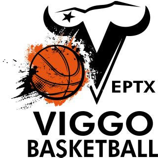 Viggo Basketball Decal
