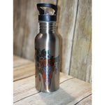 20 oz. Stainless Steel Water Bottle with straw