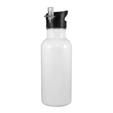 20 oz. Stainless Steel Water Bottle with straw