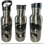 20 oz. Stainless Steel Water Bottle with straw