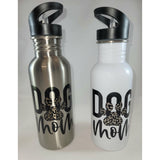 20 oz. Stainless Steel Water Bottle with straw